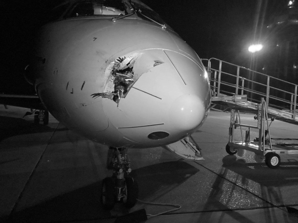 CRJ2-vic-Greenville-2025-nose-dmg