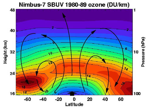 Brewer-Dobson circulation of ozone in atmosphere.
